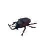 Ռետինե միջատներ