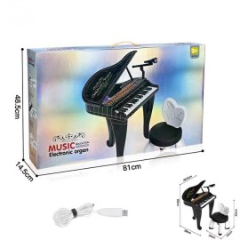 Դաշնամուր աթոռով և բարձրախոսով