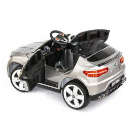 էԼ․ BMW X6
